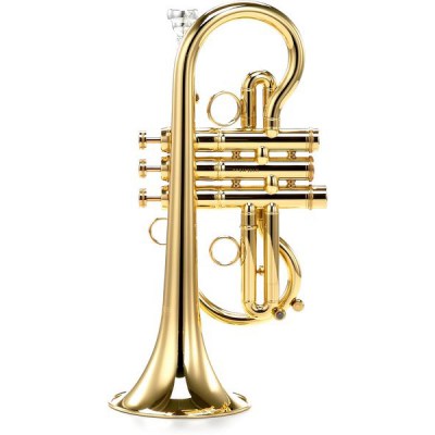 Carol Brass CCR-7775-YSS-Eb-L