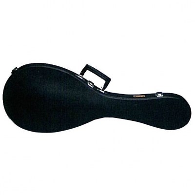 Suzuki Mandolin Case No. 16