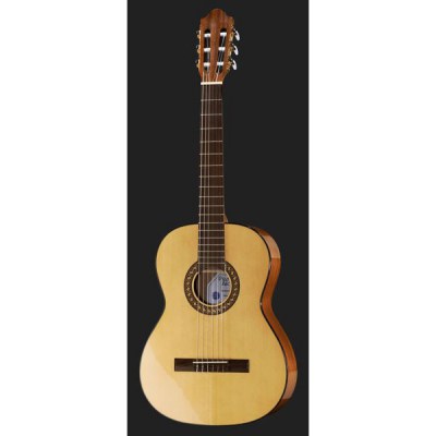PRO ARTE GC 100 II