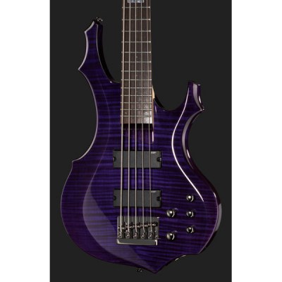 Esp ltd online f155dx