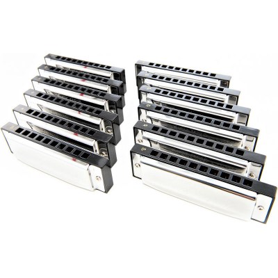 Harley Benton Blues Harmonica Set