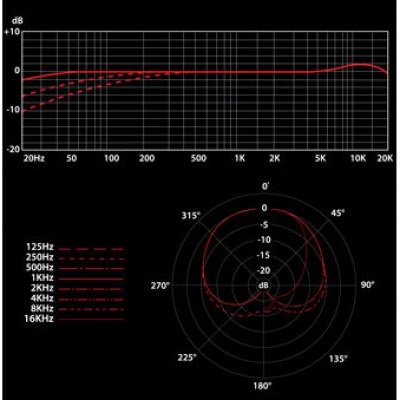 SE Electronics SE 4400A Stereo Set