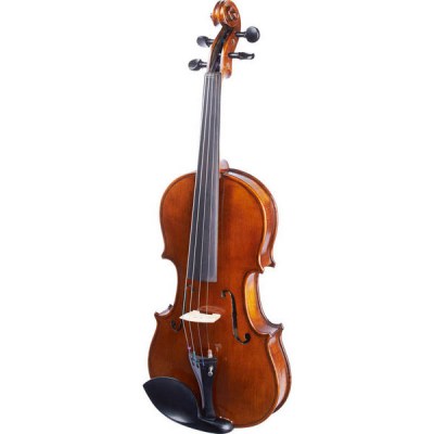 Stagg VN-4/4 HG Violin Set