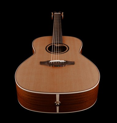 Takamine P3NY