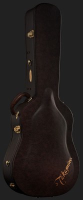 Takamine P3NY