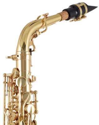 Yanagisawa shop wo10 alto