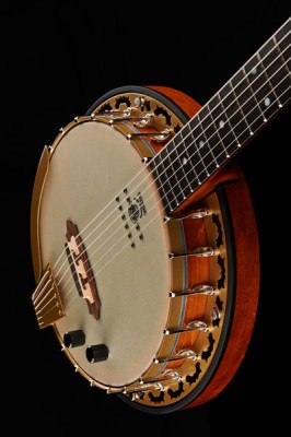 Deering Phoenix A/E 6-string Banjo