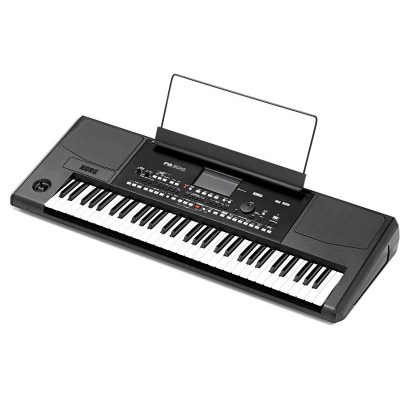 Korg pro PA-300