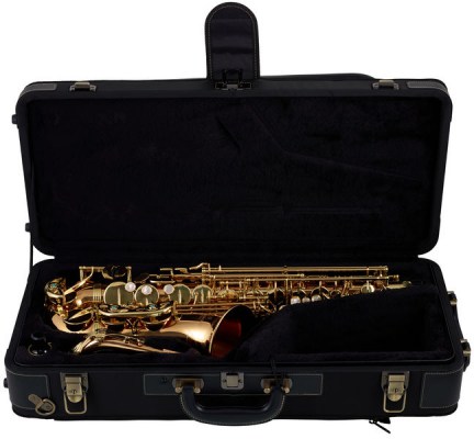 Yanagisawa A WO2 Alto Saxophone