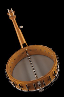 gretsch dixie special banjo