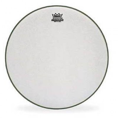 Remo 13" Ambassador Coated