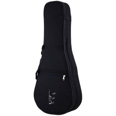 Antonio Pinto Carvalho Tenor Ukulele Case