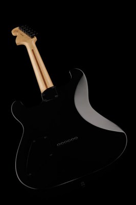 Fender Jim Root Stratocaster RW BK