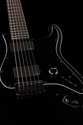Fender Jim Root Stratocaster RW BK