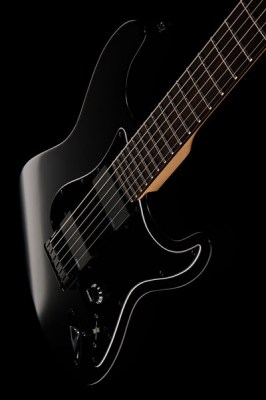 Fender Jim Root Stratocaster RW BK