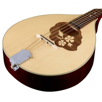 Thomann Europe Mandola M1088