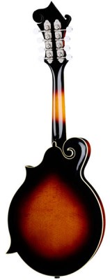 The Loar LM-520-VS