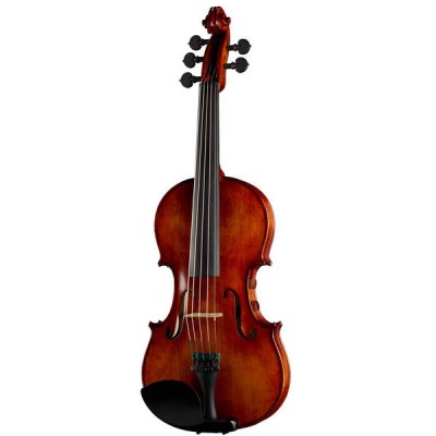 David Gage RV5Pe F Realist Violin
