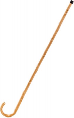 Schussele Spazierstock-Alphorn