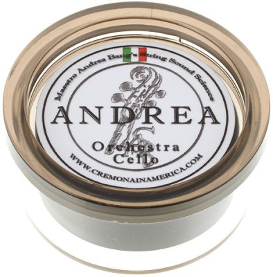 Andrea Cello Rosin Orchestra