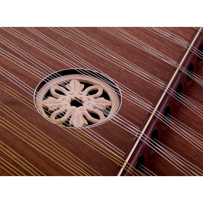 Schneider Psaltery Special Edition 3