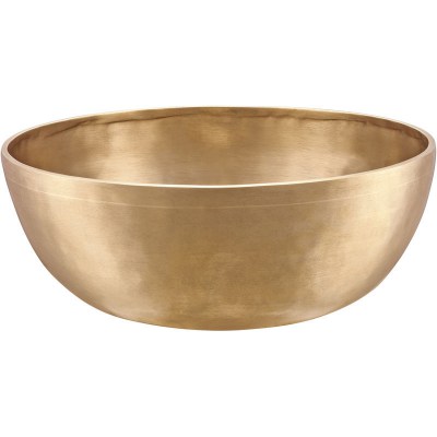 Meinl E-2500 Energy Singing Bowl