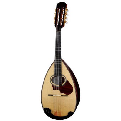 Suzuki M60 Mandolin