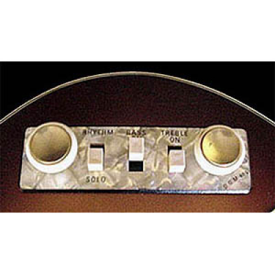 Hofner Switchpanel HA2B-PC